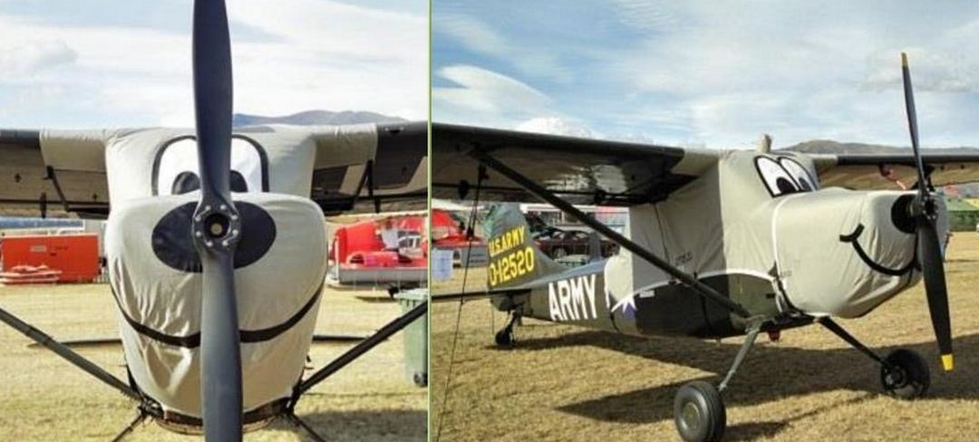 Cessna L-19 Bird Dog Canopy Cover, Engine Cover
