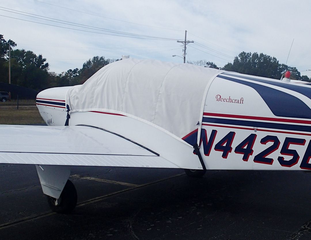 Beech Debonair Canopy Cover